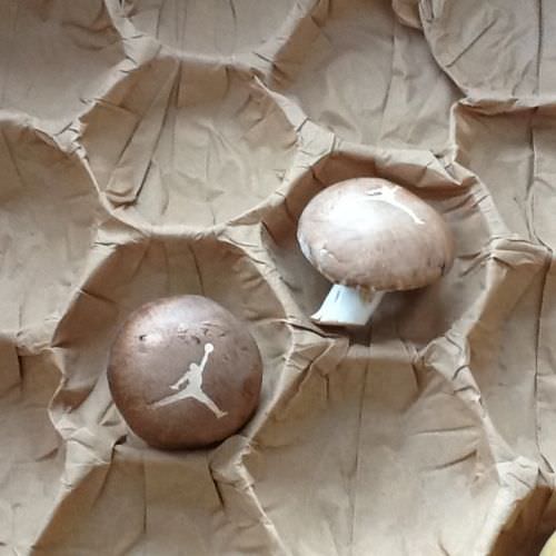 Réalisation Gravures sur champignons Moselle