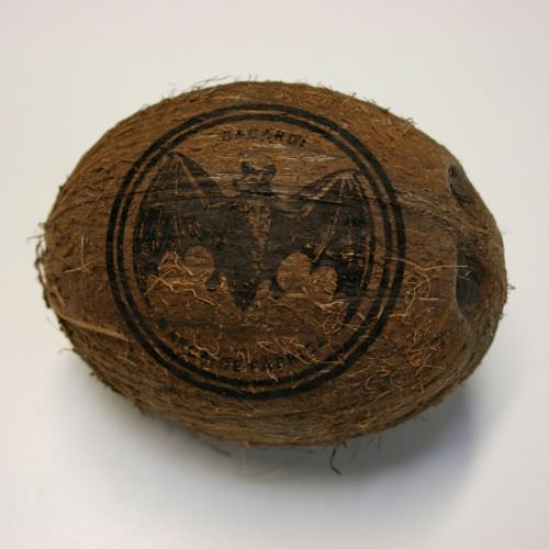 Réalisation Gravure sur noix de coco Moselle