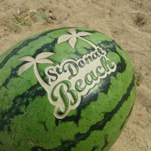 Réalisation Gravure sur pastèque Moselle