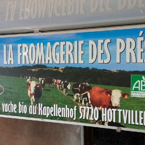 Voir le projet Adhésif pour l’habillage d’un stand d’une fromagerie Réalisation Adhésif pour l’habillage d’un stand d’une fromagerie Moselle