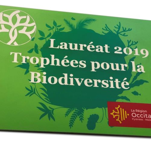 Réalisation Plaque inaugurale Trophées Moselle